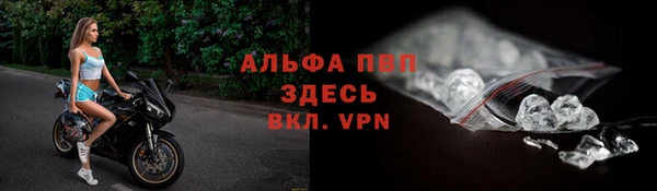 ALPHA PVP Баксан