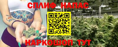 эйфоретик Будённовск