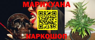 сатива Бузулук