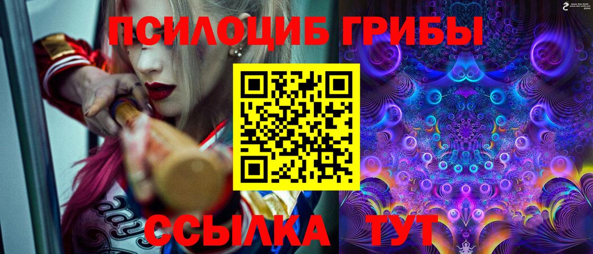 Псилоцибиновые грибы ЛСД  наркотики  Иваново 