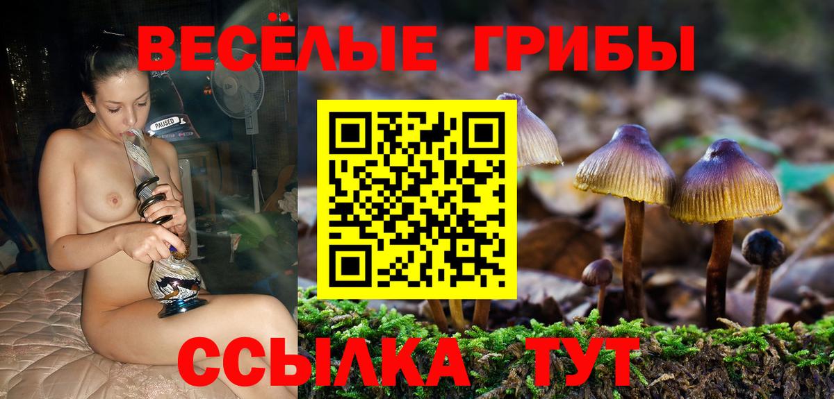 Галлюциногенные грибы Psilocybe Иваново