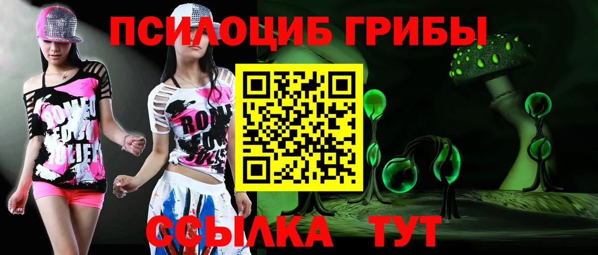 Галлюциногенные грибы Psilocybine cubensis Иваново