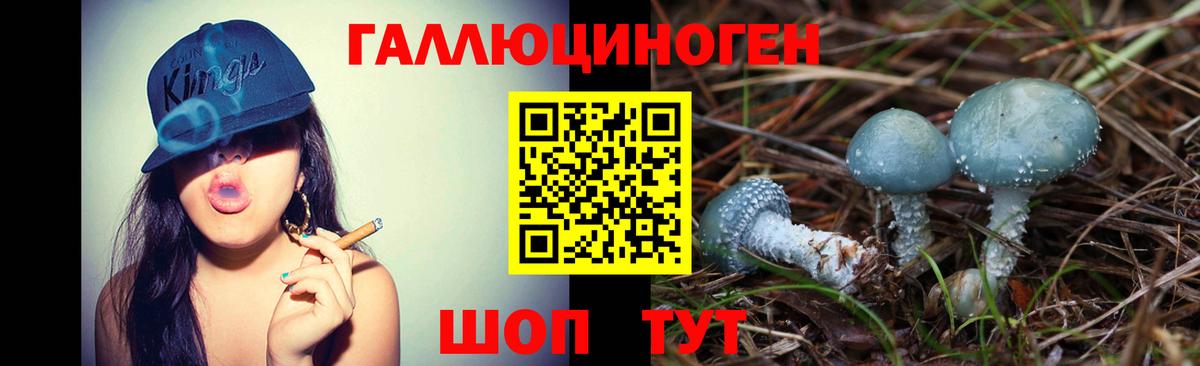 Галлюциногенные грибы MAGIC MUSHROOMS  Вход с VPN  Иваново 